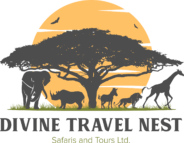 Divine Travel Nest Safaris